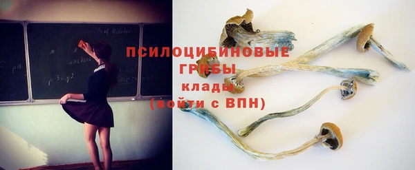 дурь Армянск