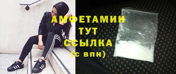 дмт Арсеньев