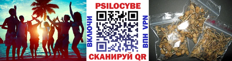 Купить  Феодосия  Псилоцибиновые грибы MAGIC MUSHROOMS 